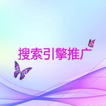 【搜索引擎大全】搜索引擎的知识