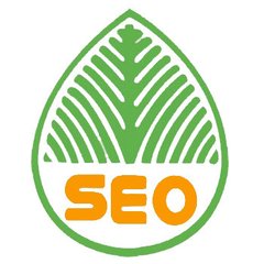 【seo监控】这样进行搜索引擎优化才是最好的